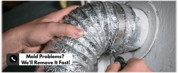 Air Duct Mold Removal in The Woodlands