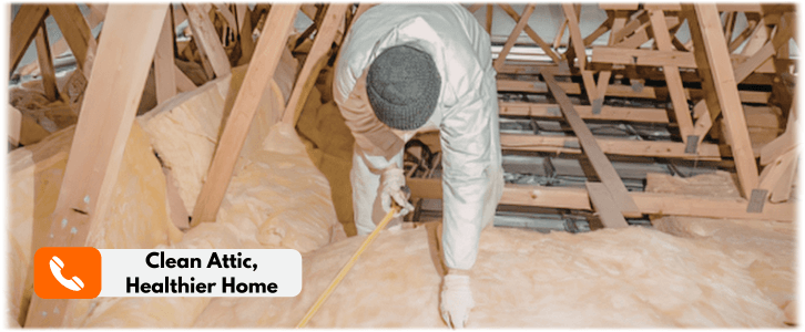 Attic Cleaning The Woodlands