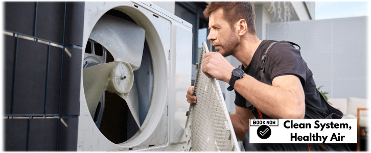 HVAC Mold Removal The Woodlands
